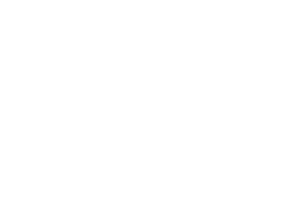 Ariane Capital / The Future of wealth management