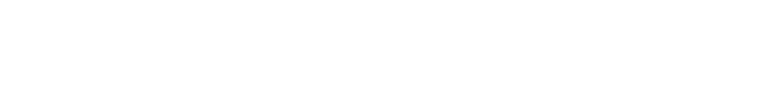 Ariane Asset Management